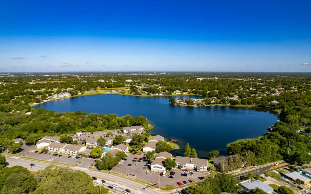 Summer Living Guide: What Makes North Tampa Apartments Ideal for Florida Summers