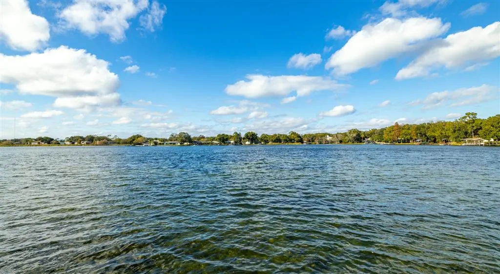 Lake views at Beach Club Apartments - Apartments for rent in Tampa, Florida
